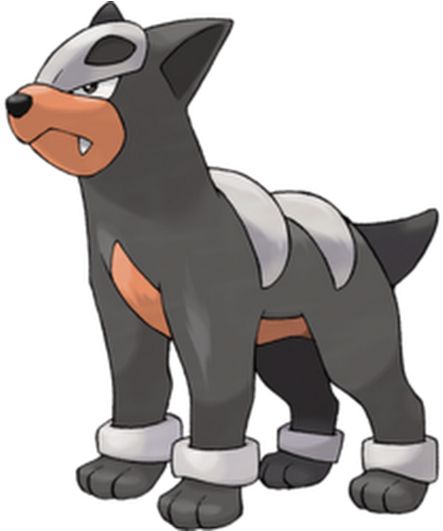 Flash Fire - Pokemon Dark Fire Type (530x530)