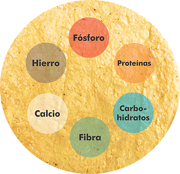 La Tortilla - Circle (361x349)