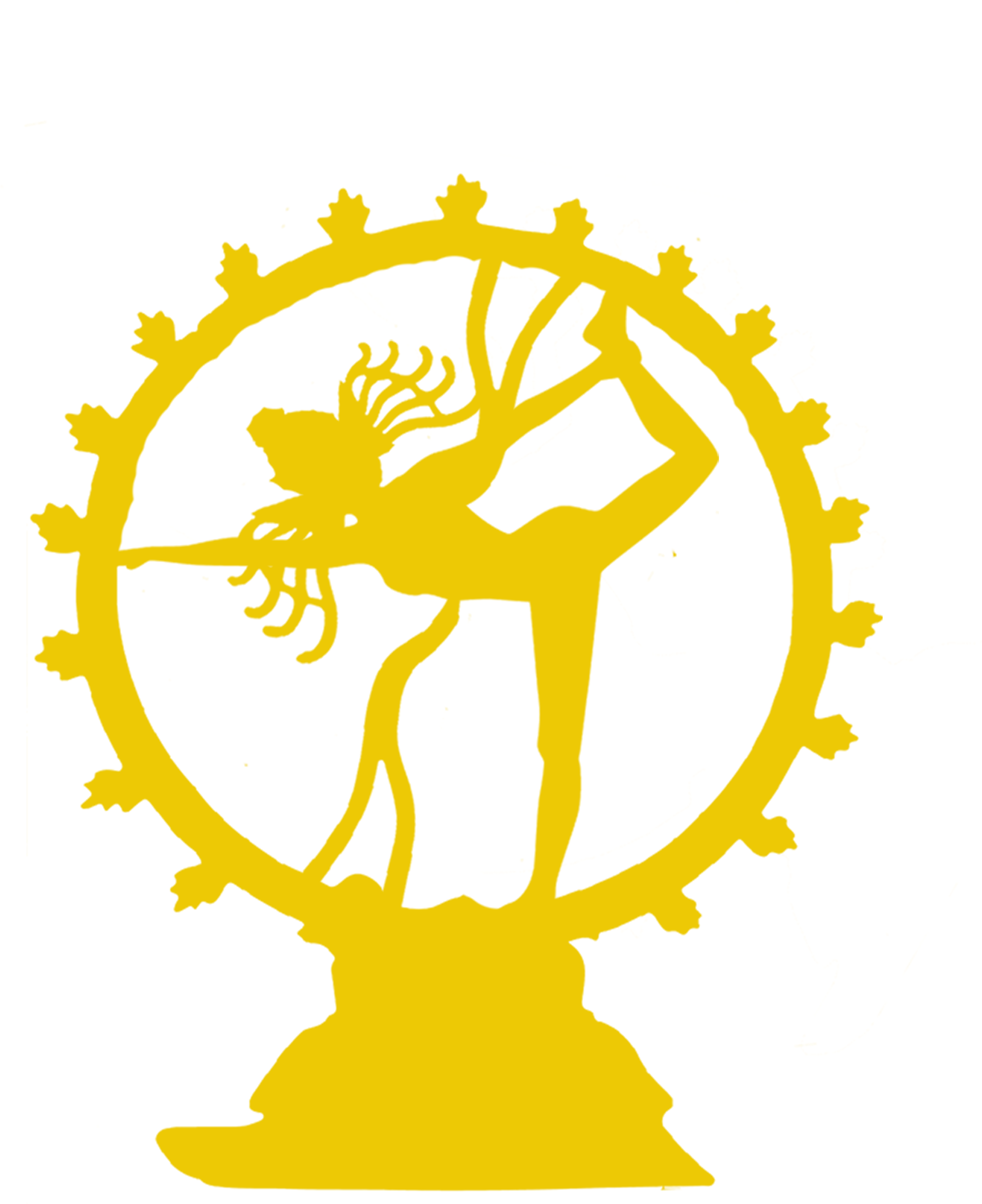 Icon (2112x2904)