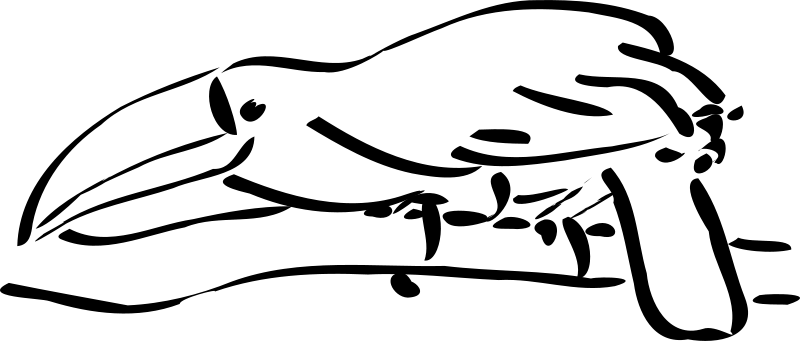 Toucan Outline (800x341)