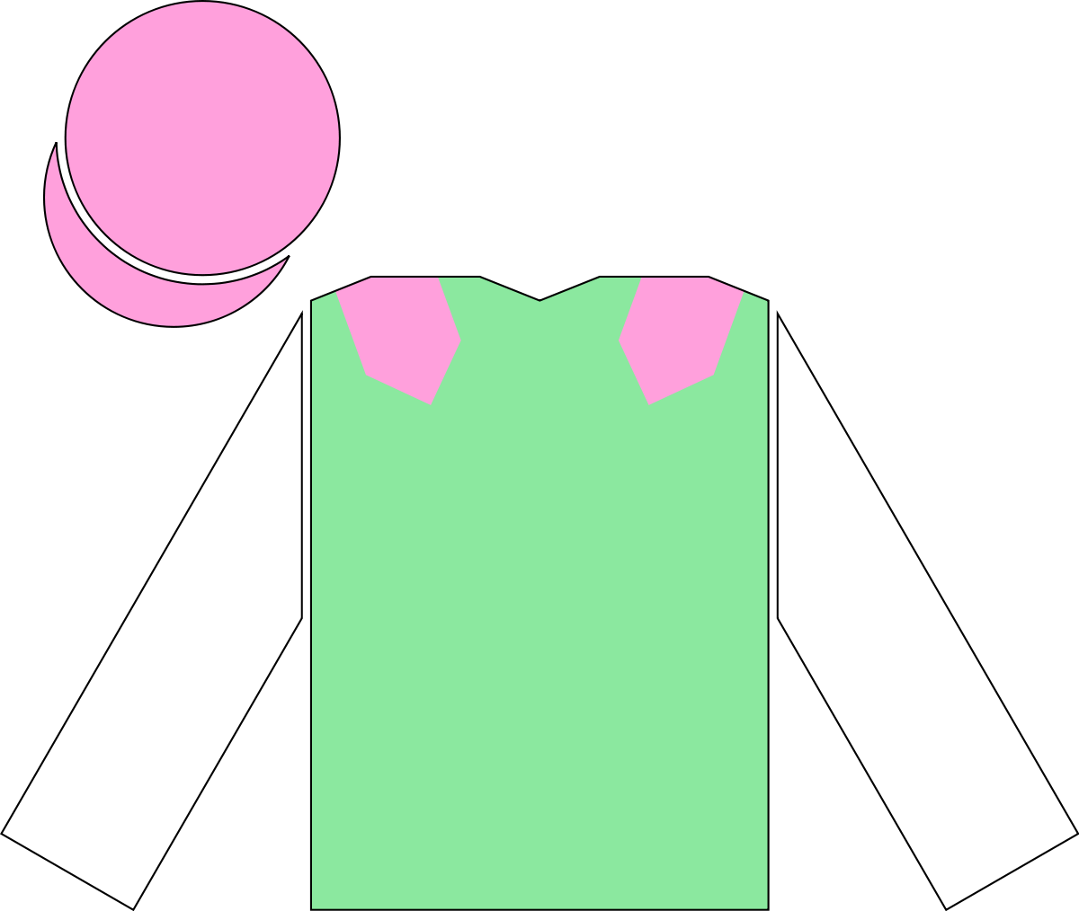 Racing Silks Rough Quest (1200x1014)