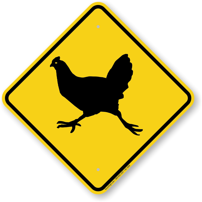 Australia Road Sign (800x800)