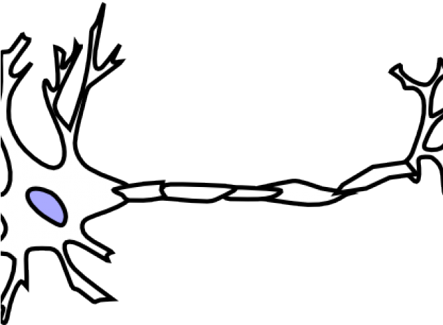 Neuron Clipart Clip Art - Scalable Vector Graphics (640x480)