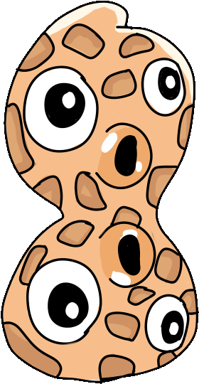 Peanut - Peanut (378x556)