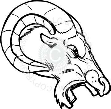 Aggressive Ram Drawing (361x356)