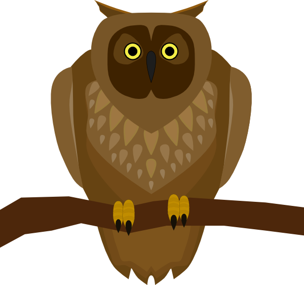 Owl Sitting On A Branch (600x562)