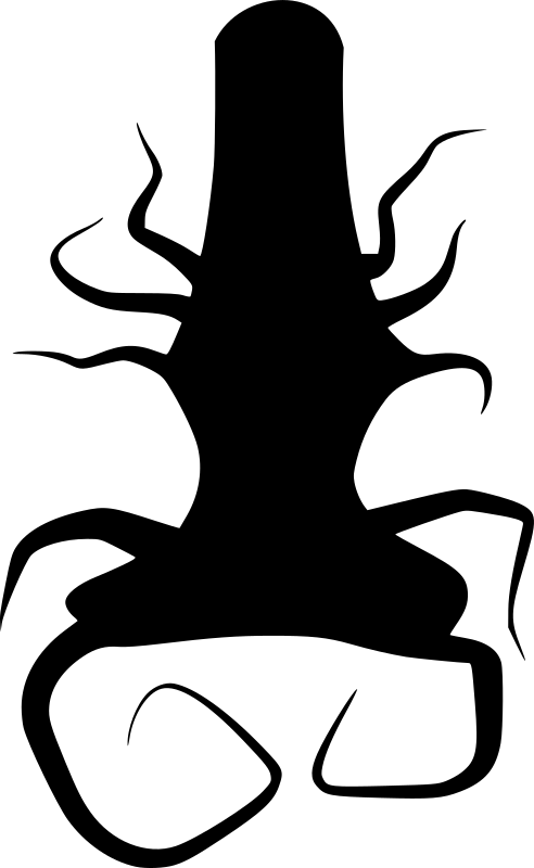 Akar Siluet (553x900)