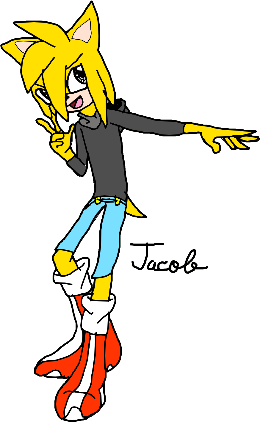 Jacob Maltise The Hedgehog - Wiki (975x1508)