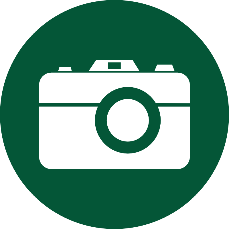 Gallery - Camera (800x800)
