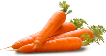 Pick Best Fruit - Stx International Stx-1000-ce Chef S Elite 15 Minute (510x510)