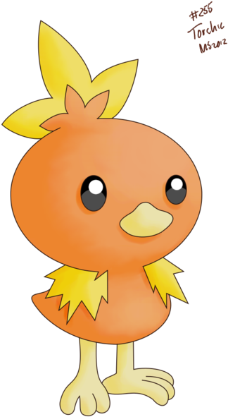 255 Torchic By Pokemon Countdown On Deviantart - Cartoon (600x706)