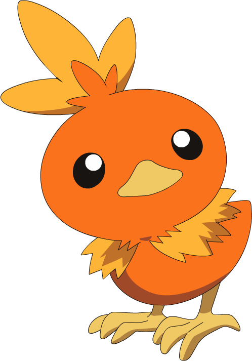 #255 Torchic - Torchic Pokemon Png (498x713)