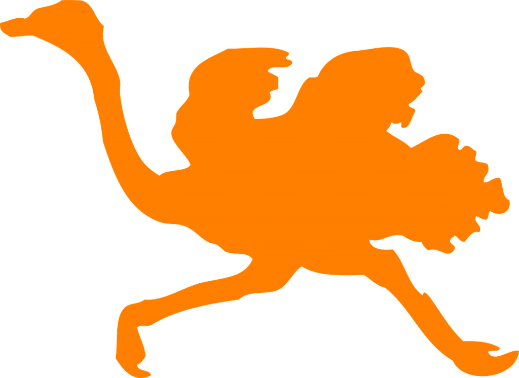 Ostrich Silhouette (1024x746)