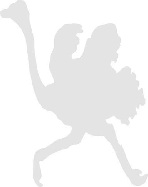 Common Ostrich (474x598)