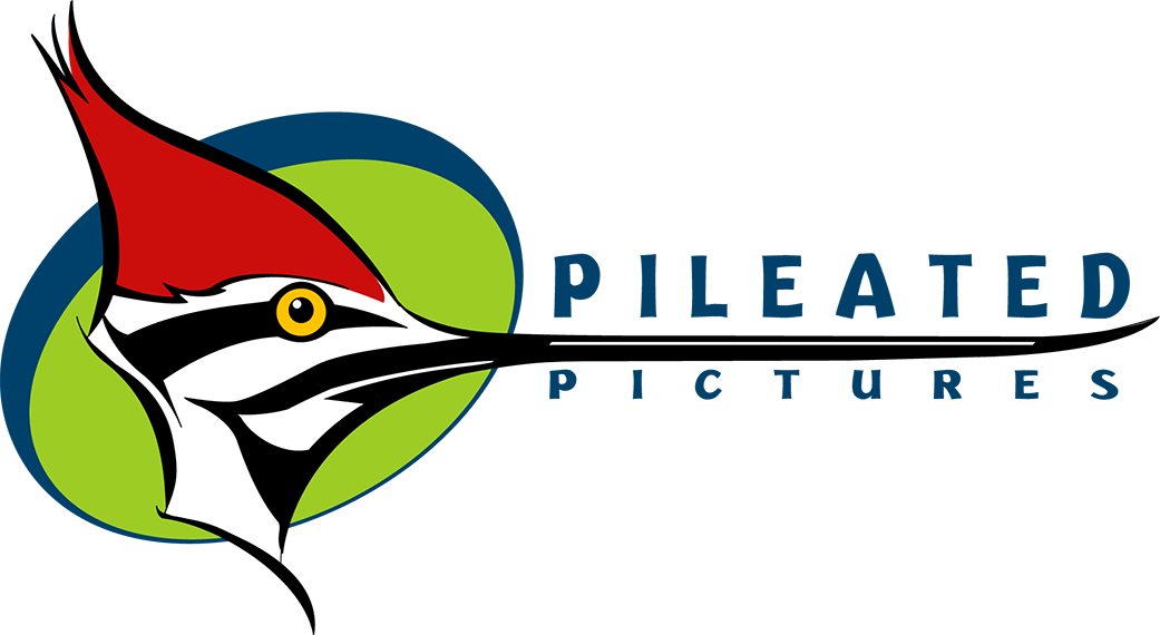 Clip Art (1041x570)