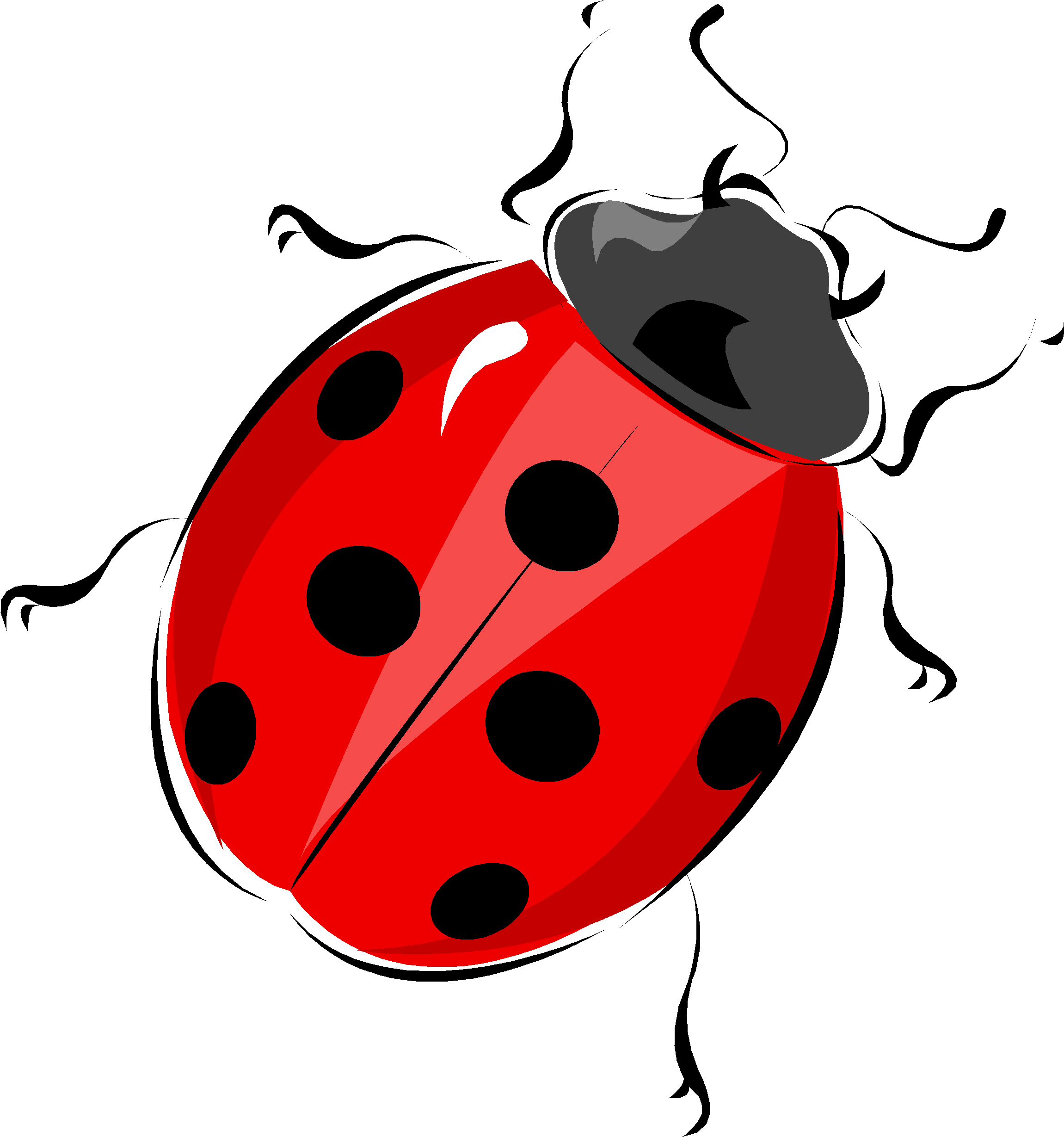 Lemon - Ladybird Locket Necklace, Red Ladybug Necklace, Animal (2458x2559)