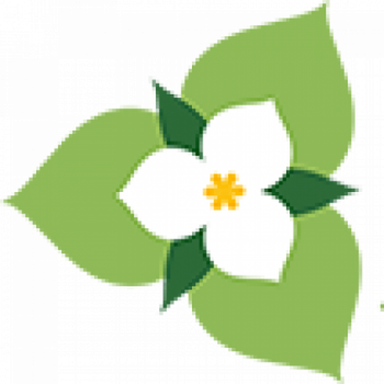 Healthy State - Healthy State (350x350)