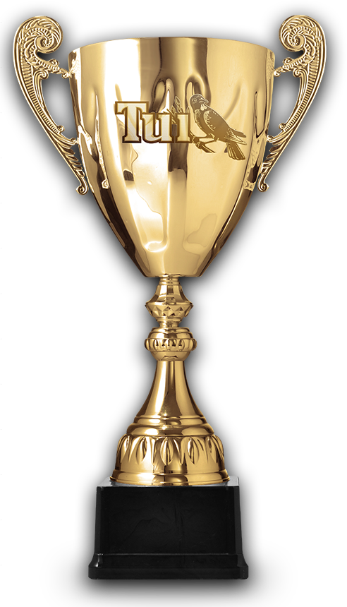 Leaderboard - Trophy (492x860)