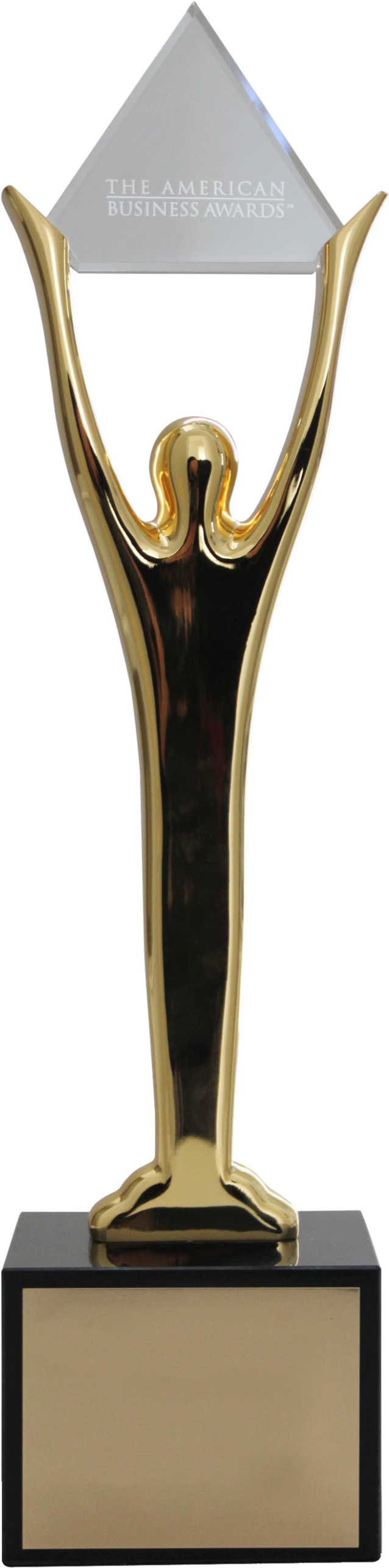 Stevie Award Blank - Forensic Engineering (1500x2916)