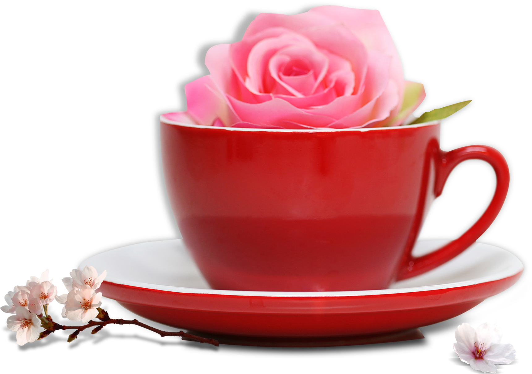 Tea Cup Mug - Rose (1736x1300)
