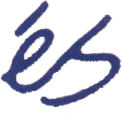 Es Skate Logo - Skate (400x371)