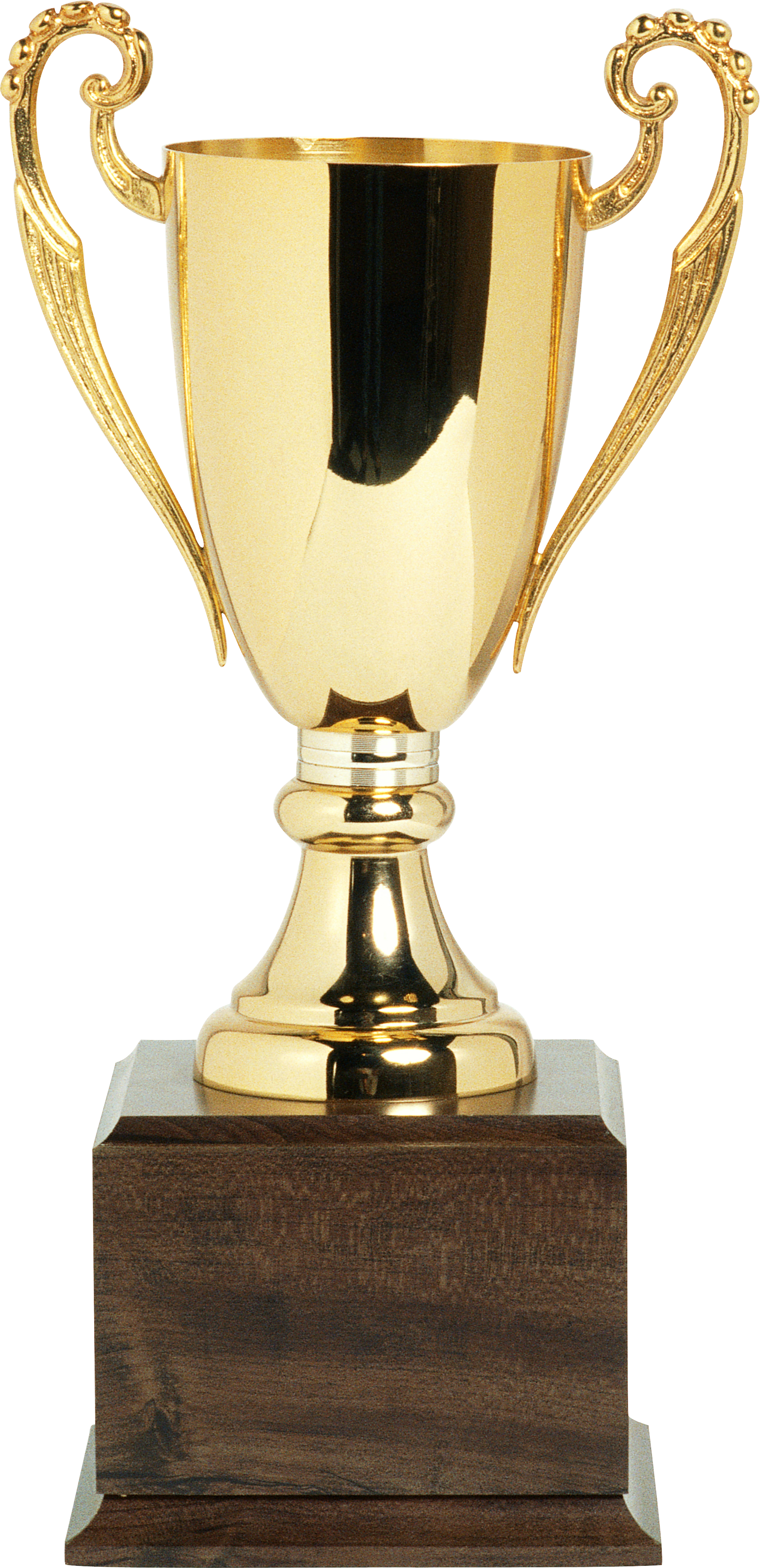 Golden Cup - Кубок Пнг (1774x3662)