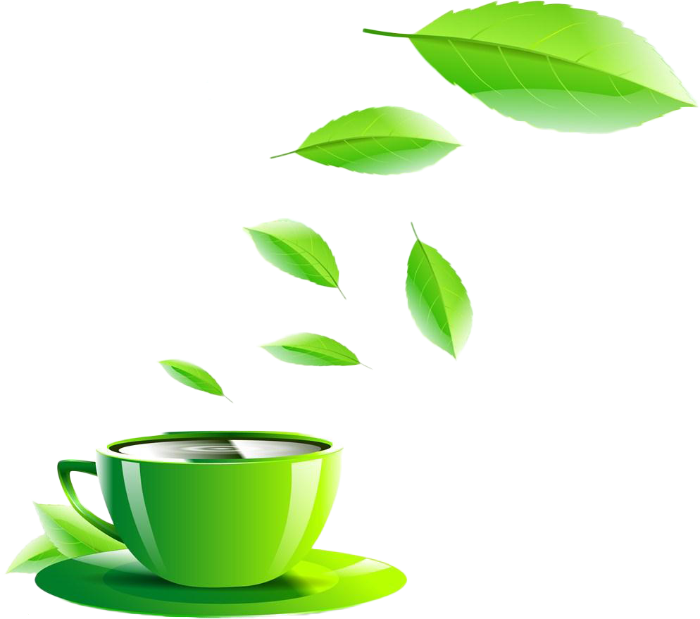Green Tea Coffee Cup - Tea (994x879)