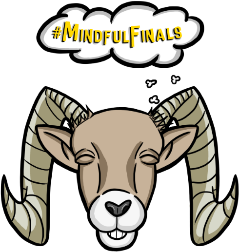 Mindful Finals Logo - Mindful Finals Logo (605x637)