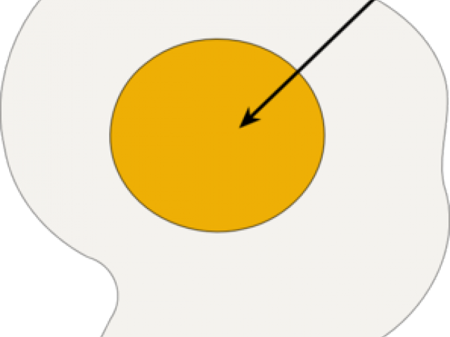 Fried Egg Clipart Yoke - Circle (640x480)