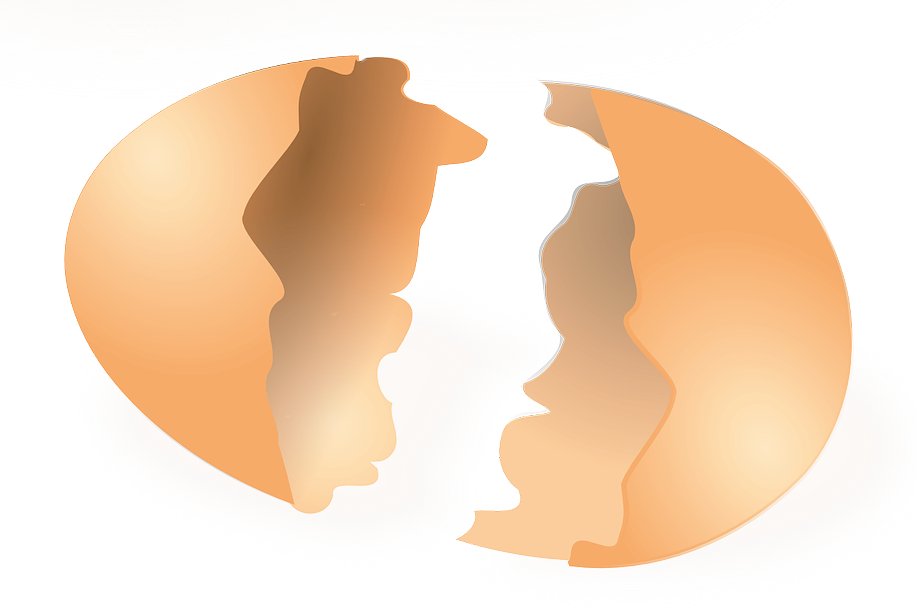 Chicken Eggshell Clip Art - Egg Shell Clip Art (916x606)