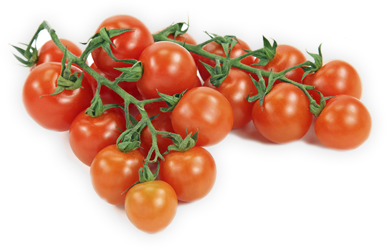 Tomatoes - Tomato (764x491)