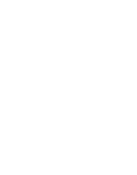 Microphone (300x412)