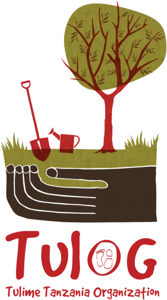 Tulime Organization - Organization (500x639)