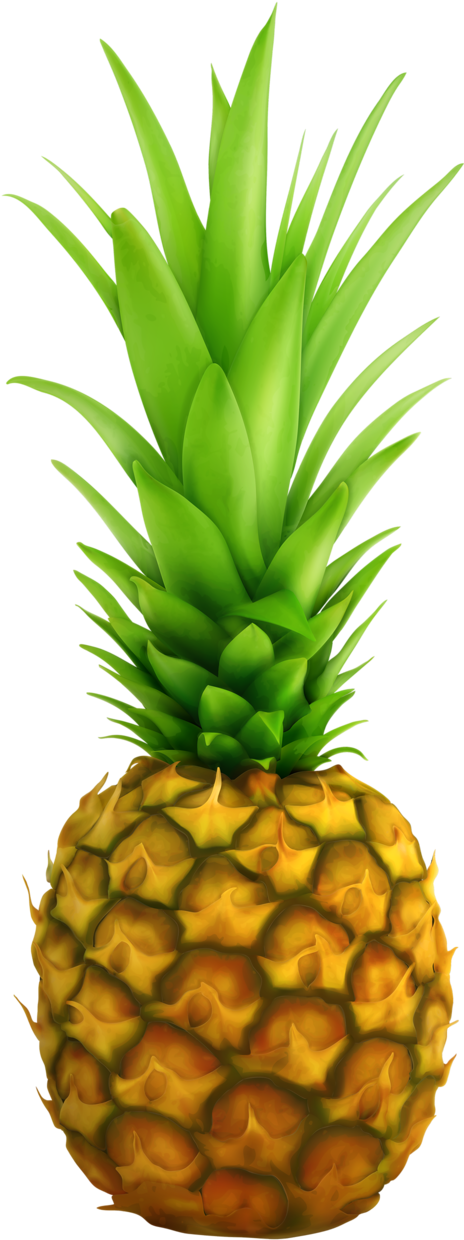 Clipart - Pineapple Stickers (518x1280)