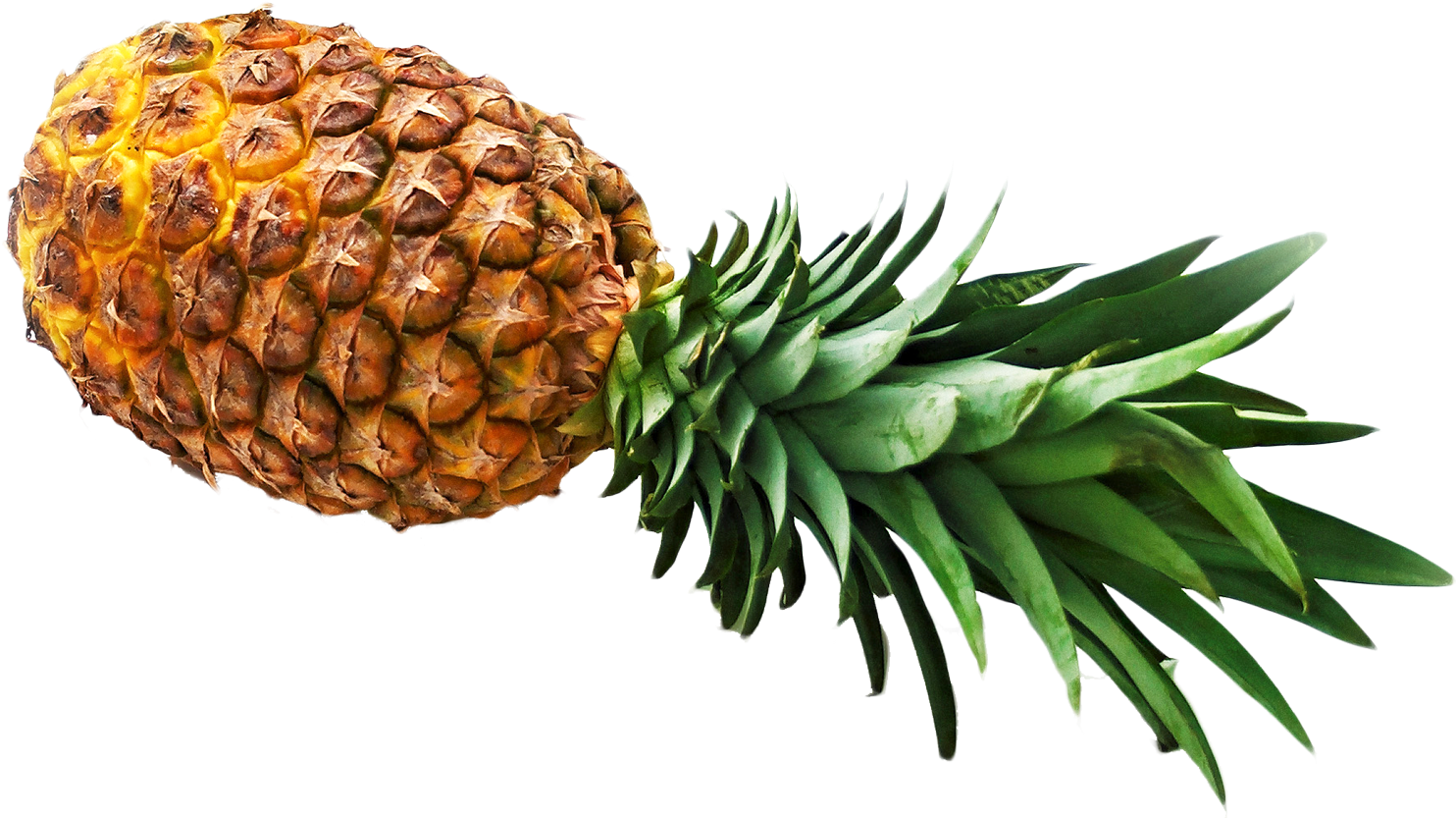 Pineapple - Pineapple Png (1526x890)