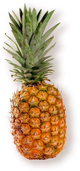 Pineapple Transparent (257x550)