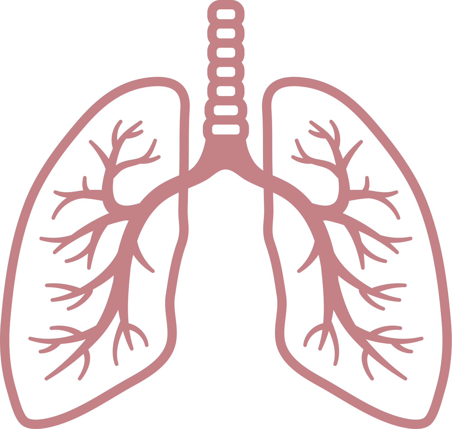 Lungs Png (1504x1428)