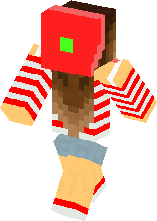 Minecraft (317x456)