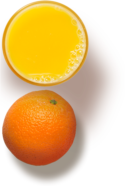 Orange Png Top View (437x669)
