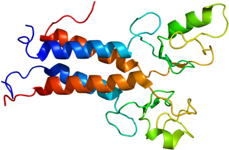 Brca1 - Brca1 Gene (500x339)