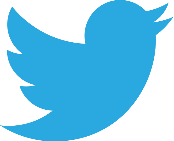Spotlights - Twitter Logo White Background (556x450)