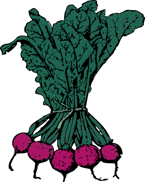 Beets Clip Art (474x595)