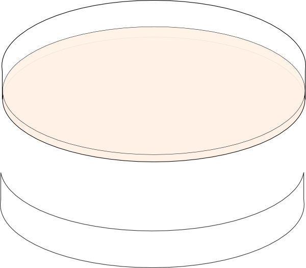 Ceiling (600x524)