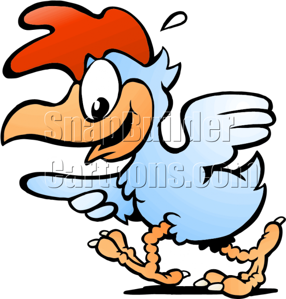 Gallina (600x600)