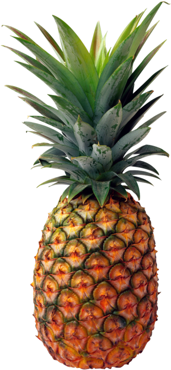 August - Pineapple Png (354x750)