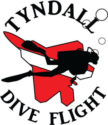 Tyndall Dive Flight - Flight (480x480)
