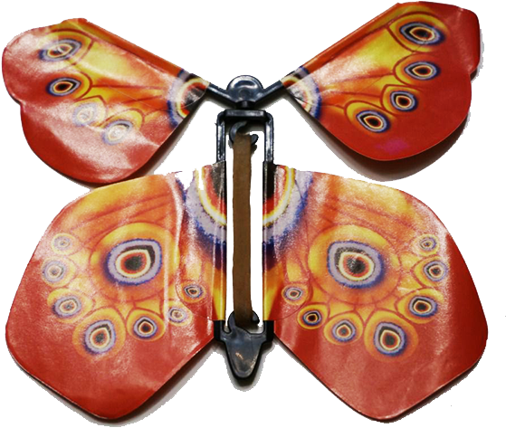 Купити Незабутній Подарунок До 8 Березня - Aglais Io (595x488)