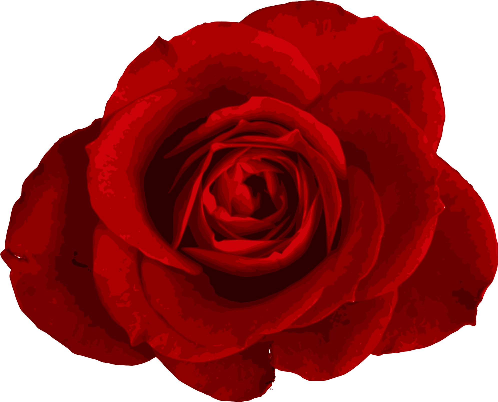 Free Download - Rose (2272x1704)