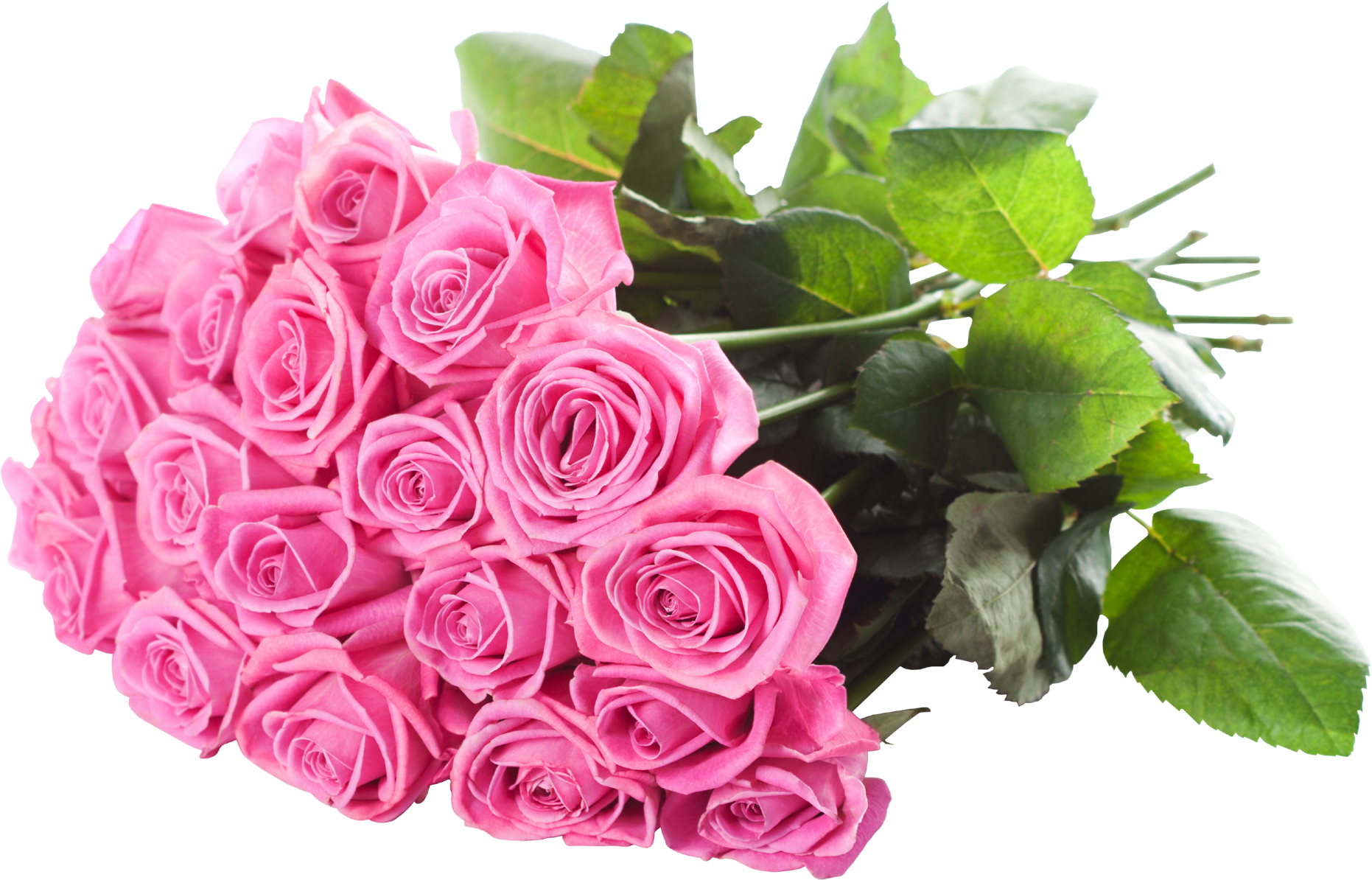 Bunch Of Pink Rose - Friend Blessing Happy Birthday Wishes (1862x1194)