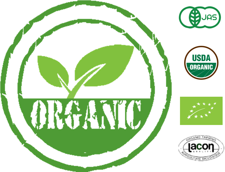 Only Organic - Body Butter Organic - Moisturiser For Dry Skin - Best (832x577)